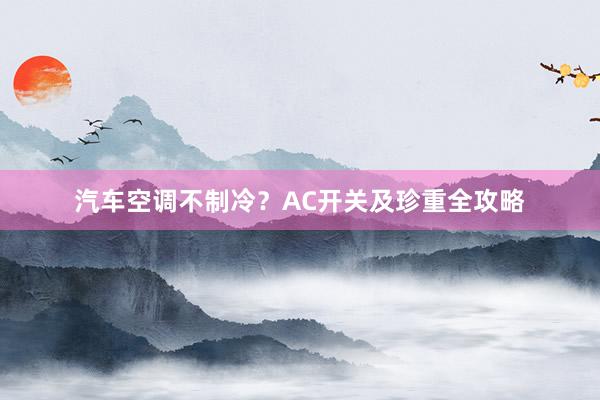 汽车空调不制冷？AC开关及珍重全攻略